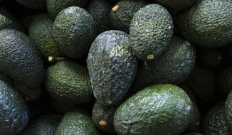 Recently harvested avocados at an orchard near Ziracuaretiro, Michoacan state, Mexico, Oct. 1, 2019. Mexico has acknowledged late Saturday, Feb. 13, 20222, that the U.S. government has suspended all imports of Mexican avocados after a U.S. plant safety inspector in Mexico received a threat. (AP Photo/Marco Ugarte, File)