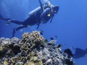 un_climate_report_australia_02246.jpg