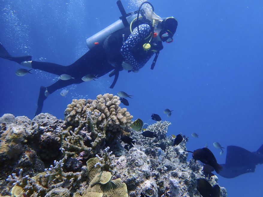This photo provided by Ava Shearer shows her scuba diving at Australia's Great Barrier Reef in 2020. A Hawaiian snorkeling company is being sued for $5 million by a California couple who claim they were abandoned at sea by their tour guides. (Courtesy Ava Shearer via AP)