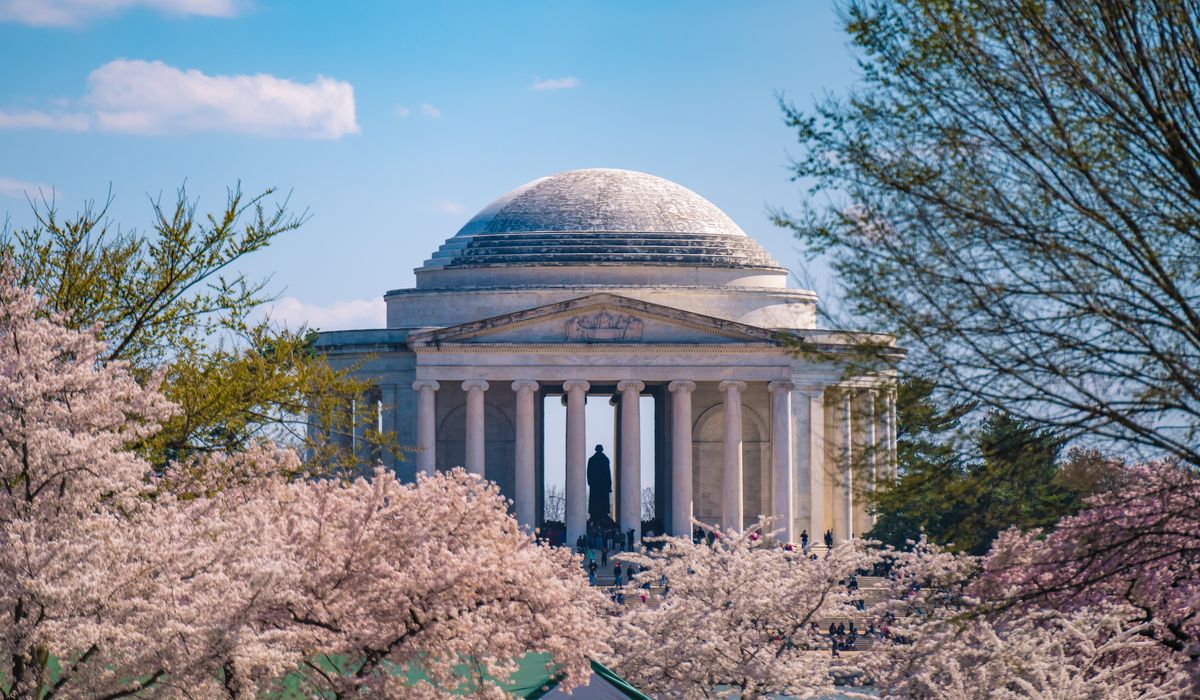 Officials predict peak bloom for cherry blossoms in DC but warn of weather swings