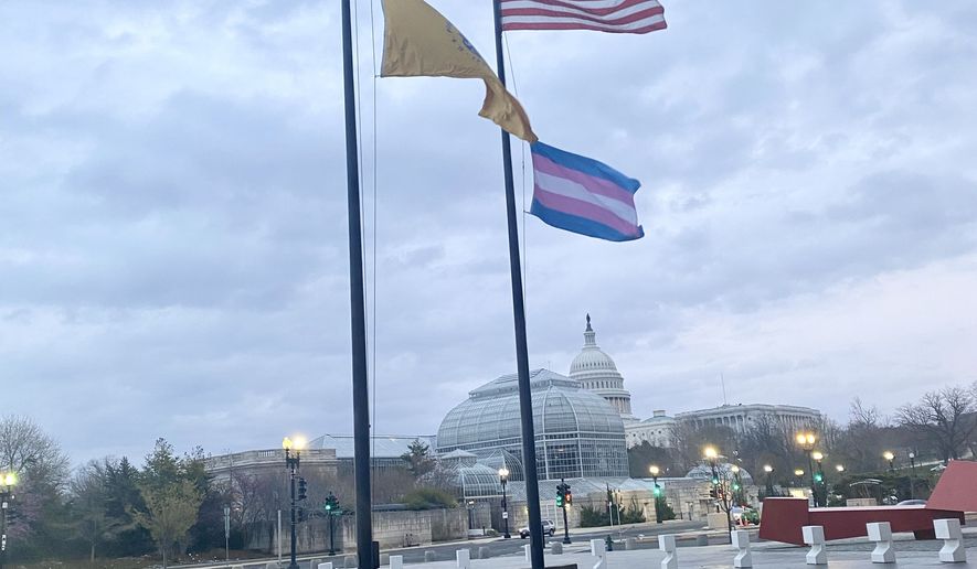 The pink, white and blue transgender flag was flown for the first time outside a federal agency to mark International Transgender Day of Visibility on March 31, 2022. Photo courtesy of the Health and Human Services Department.