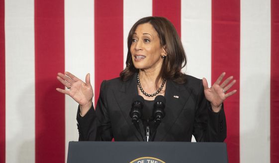 Vice President Kamala Harris speaks on the importance of investing in small businesses and small communities at the E.E. Bass Cultural Arts Center in Greenville, Miss., Friday, April 1, 2022. (Barbara Gauntt/The Clarion-Ledger via AP)
