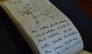 In this photo provided by Cambridge University Library on Tuesday, April 5, 2022, a view of the Tree of Life Sketch in one of naturalist Charles Darwin&#39;s notbeooks which have recently been returned after going missing in 2001, in Cambridge, England. Two of naturalist Charles Darwin’s notebooks that were reported stolen from Cambridge University&#39;s library have been returned, two decades after they disappeared. (Stuart Roberts/Cambridge University Library via AP)