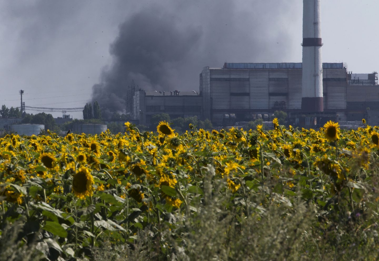 Rus yakıtı, savaş nedeniyle kesintisiz olarak Ukrayna üzerinden akıyor