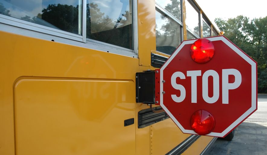 School bus with stop sign. (Photo credit: Jerry Horbert via Shutterstock) ** FILE **