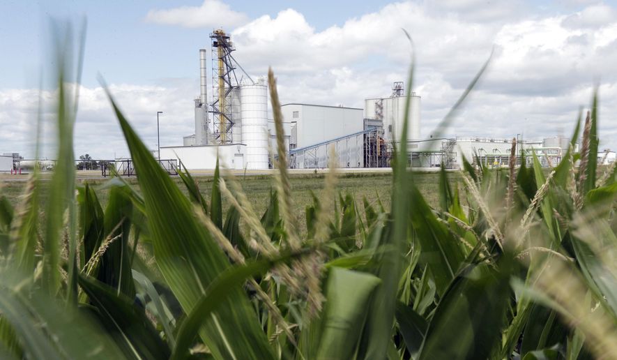 In this July 20, 2013, file photo, an ethanol plant stands next to a cornfield near Nevada, Iowa. (AP Photo/Charlie Riedel, File)