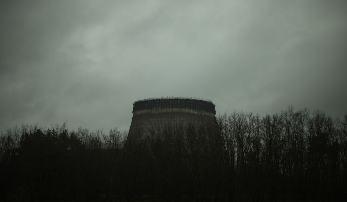 NextImg:Unearthed from Chernobyl: Worms with ‘superpower’ immunity to radiation