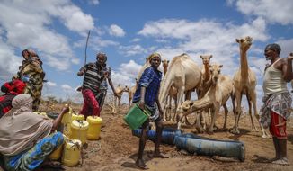 FILE - Herders supply water from a borehole to give to their camels during a drought near Kuruti, in Garissa County, Kenya on Oct. 27, 2021. The frequency and duration of droughts will continue to increase due to human-caused climate change, with water scarcity already affecting billions of people across the world, the United Nations warned in a report Wednesday, May 11, 2022. (AP Photo/Brian Inganga, File)