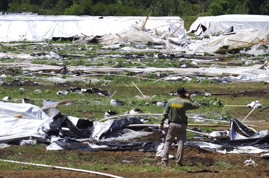 Josephine County Sheriff Dave Daniel stands amid the debris of plastic hoop houses destroyed by law enforcement, used to grow cannabis illegally, near Selma, Ore., on June 16, 2021. Foreign drug cartels that established illegal outdoor marijuana farms in Oregon last year are expanding to large indoor grows, a state police official said Thursday, May 12, 2022. (Shaun Hall/Grants Pass Daily Courier via AP, File)