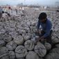 A laborer seals sacks filled with wheat in Gurdaspur, in the northern Indian state of Punjab, April 30, 2014. (AP Photo/Channi Anand, File)