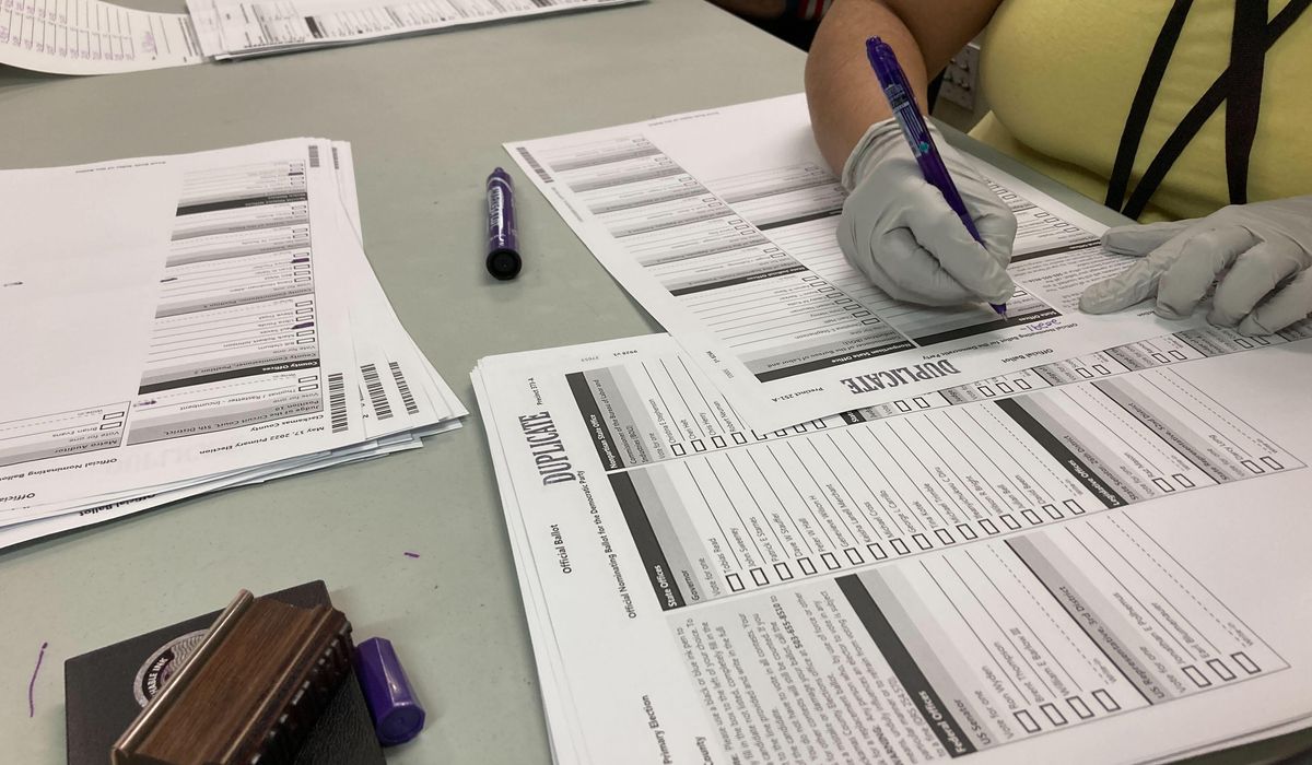 NextImg:2 election officials in a rural Virginia city sue the state over ballot-counting machines