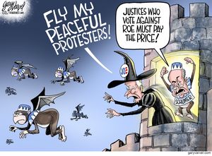 Fly my peaceful protesters!
