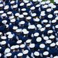 Air Force Academy graduation. Photo credit: Megan Presutti via Shutterstock