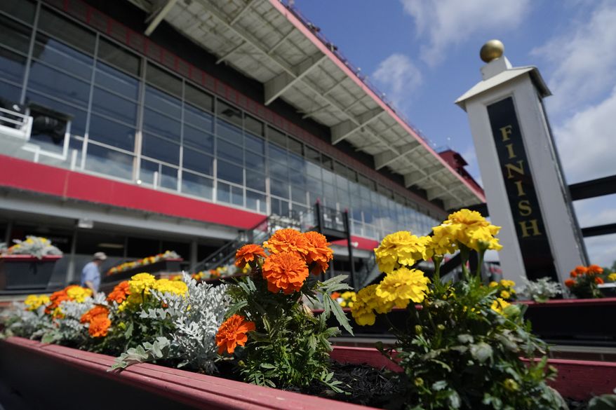 Flowers adorn an area near the finish line ahead of the Preakness Stakes horse race at Pimlico Race Course, Thursday, May 19, 2022, in Baltimore. (AP Photo/Julio Cortez)