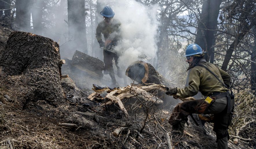 Carson Hot Shots Henry Hornberger, left, and Tyler Freeman cut up a hollow tree that was burning on the inside, Monday May 23, 2022, as they and their co-workers work on hot spots from the Calf Canyon/Hermits Peak Fire in the Carson National Forest west of Chacon, N.M. Crews in northern New Mexico have cut and cleared containment lines around nearly half of the perimeter of the nation’s largest active wildfire while bracing for a return of weather conditions that might fan flames and send embers aloft. (Eddie Moore/The Albuquerque Journal via AP)