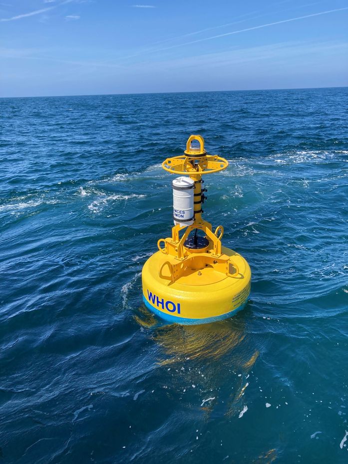 Atlantik sağ balinalarını güvende tutmak için geliştirilen robotik şamandıralar
