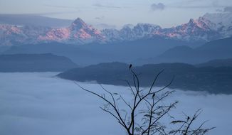 Birds sit on tree branches in front of a mountain range near Pokhara, Nepal, Saturday, Jan. 1, 2022. A police official Sunday, May 29, 2022, says a small airplane with 22 people on board flying on a popular tourist route is missing in Nepal’s mountains. (AP Photo/Niranjan Shrestha, File)