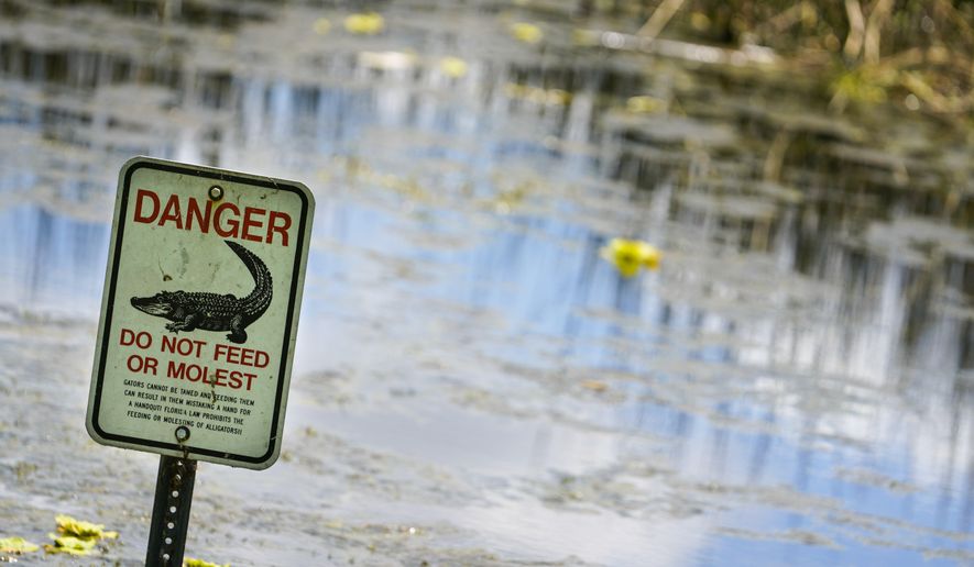 An alligator warning sign is posted in waters near the scene where a man was found dead after going into the lake to retrieve lost disc golf discs at John S. Taylor Park, Tuesday, May 31, 2022 in Largo, Fla. (Martha Asencio-Rhine/Tampa Bay Times via AP)