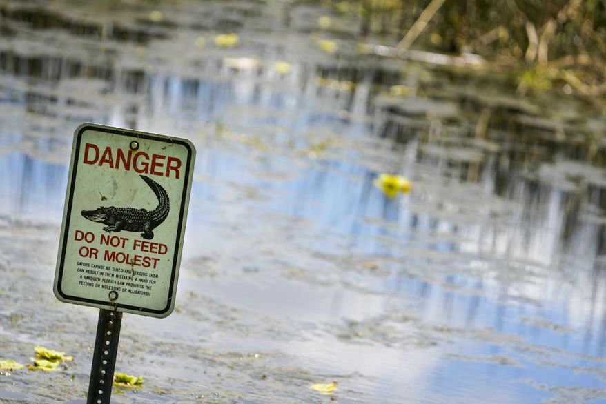An alligator warning sign is posted in waters near the scene where a man was found dead after going into the lake to retrieve lost disc golf discs at John S. Taylor Park, Tuesday, May 31, 2022 in Largo, Fla. (Martha Asencio-Rhine/Tampa Bay Times via AP)