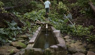 FILE - Jose Luis Gonzalez walks through a ravine known as &quot;La Raja de Rosa,&quot; where people from Barrio Patron get their water supply in Morovis, Puerto Rico, Dec. 22, 2017, three months after Hurricane Maria hit. Puerto Rico’s water and sewer company was hit by a federal lawsuit on June 2, 2022, demanding that it provide services to residents who lack potable water on a daily basis. The lawsuit was filed by the mayor of Morovis who said daily interruptions in water service have been a problem that grew worse after Hurricane Maria razed the electric grid. (AP Photo/Carlos Giusti, File)