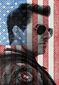 B3-SHAP-Top-Gun-GG.jpg