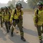 Firefigters walk in the area of a wildfire in Pujerra, Malaga, on Thursday, June 9, 2022. Emergency services deployed almost 1,000 firefighters, military personnel and support crews Thursday to fight a wildfire that has forced the evacuation of some 2,000 people in southern Spain amid fears that torrid weather may feed the blaze. (Alex Zea, Europa Press via AP)