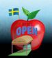 B1-SADL-Sweden-Schools-GG.jpg