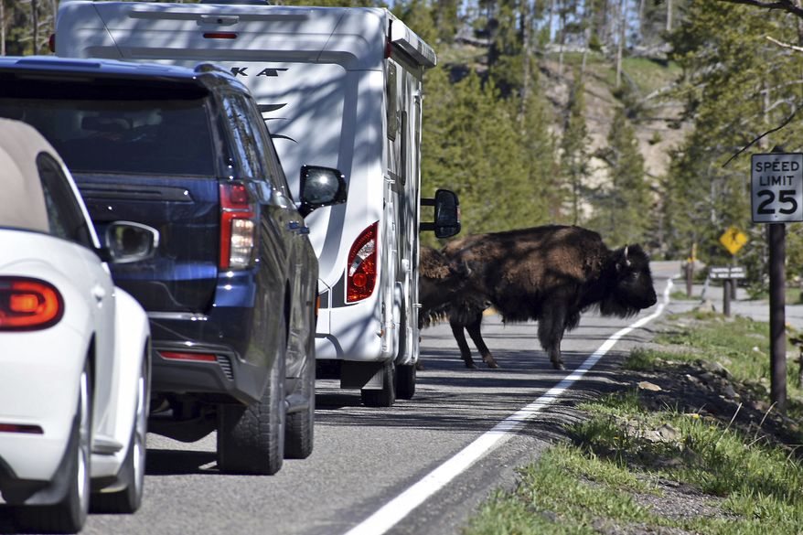A "bison jam" of backed-up traffic waiting for bison to cross the road is seen in the Hayden Valley, Wednesday, June 22, 2022, in Yellowstone National Park, Wyo. The park partially reopened Wednesday after being closed for more than a week because of flooding. (AP Photo/Matthew Brown) **FILE**