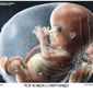 Roe v. Wade is overturned (Illustration by Michael Ramirez for Creators Syndicate)