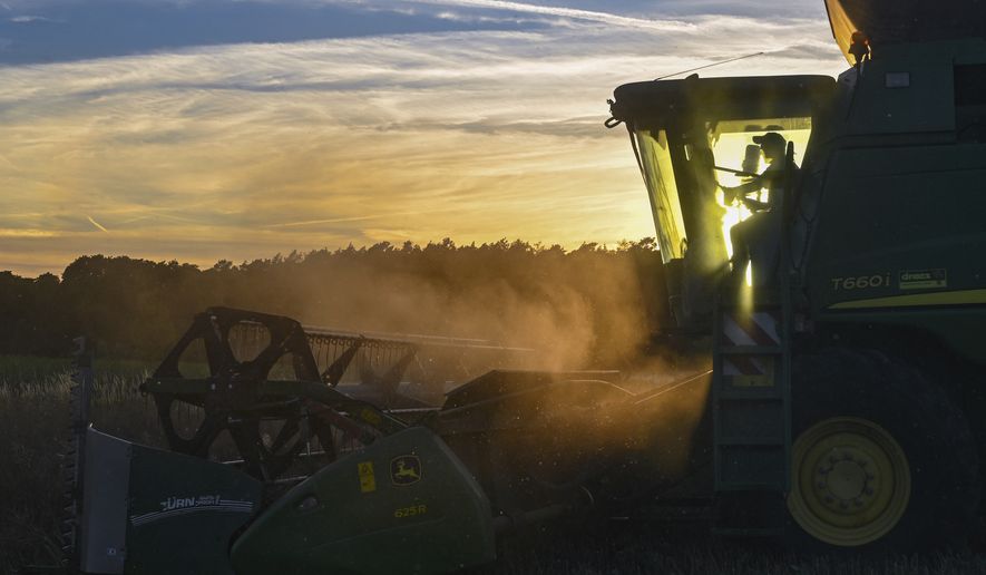 A farmer harvests rapeseed with his combine at sunset in a field in East Brandenburg, Germany, Tuesday, July 12, 2022. The rapeseed grains are mainly used to produce oil and biofuel. (Patrick Pleul/dpa via AP)