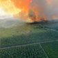 This photo provided by the fire brigade of the Gironde region (SDIS 33) shows a wildfire near Landiras, southwestern France, Sunday July 17, 2022. Firefighters battled wildfires raging out of control in France and Spain on Sunday as Europe wilted under an unusually extreme heat wave that authorities in Madrid blamed for hundreds of deaths. (SDIS 33 via AP)