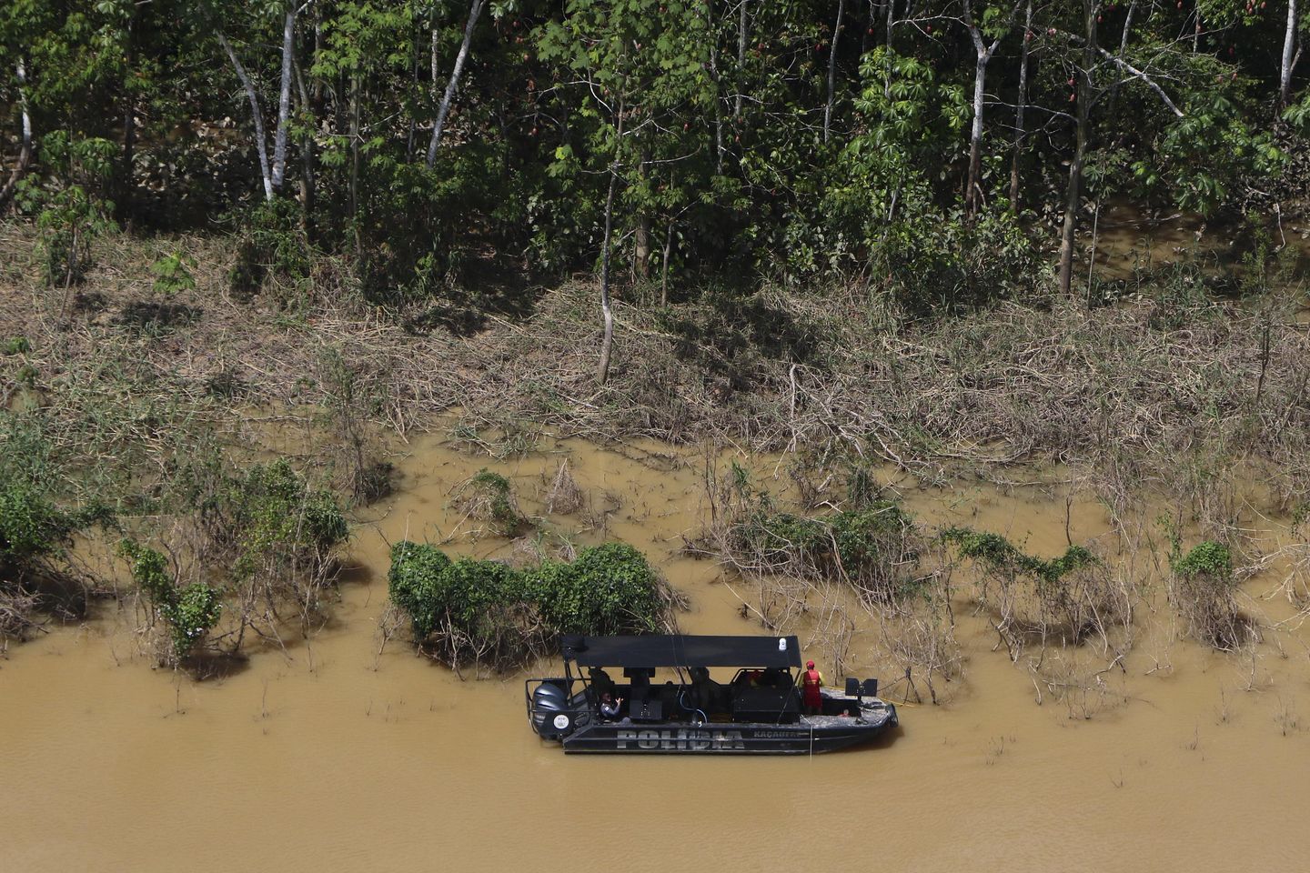 Rapor: Brezilya makamları ormansızlaşmaya aldırış etmiyor