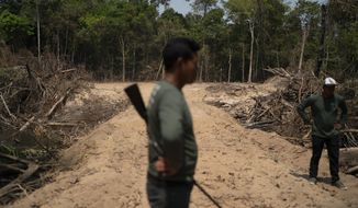 Monhire Menkragnotire, of the Kayapo indigenous community, center, surveys an area where illegal loggers opened a road to enter Menkragnotire indigenous lands, on the border with the Biological Reserve Serra do Cachimbo, top, where logging is also illegal, in Altamira, Para state, Brazil on Aug. 31, 2019. Environmental criminals in the Brazilian Amazon destroyed public forests equal the size of El Salvador over the past six years, yet the Federal Police carried out only seven operations aimed at this massive loss, according to a new study released Wednesday, July 20, 2022.  (AP Photo/Leo Correa, File)