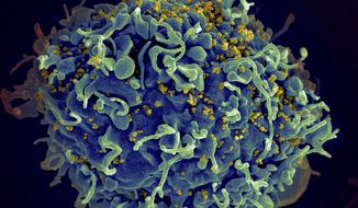 This electron microscope image made available by the U.S. National Institutes of Health shows a human T cell, in blue, under attack by HIV, in yellow, the virus that causes AIDS. Hard-won progress against HIV has stalled, putting millions of lives at risk, according to an alarming report Wednesday, July 27, 2022 on how the collision with the COVID-19 pandemic and other global crises is jeopardizing efforts to end AIDS. The report from UNAIDS is being released ahead of the start of the International AIDS Conference later this week. (Seth Pincus, Elizabeth Fischer, Austin Athman/National Institute of Allergy and Infectious Diseases/NIH via AP)
