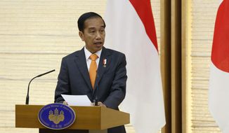 Indonesian President Joko Widodo speaks during a joint news conference with Japan&#39;s Prime Minister Fumio Kishida at the prime minister&#39;s official residence in Tokyo Wednesday, July 27, 2022. (Kiyoshi Ota/Pool Photo via AP)