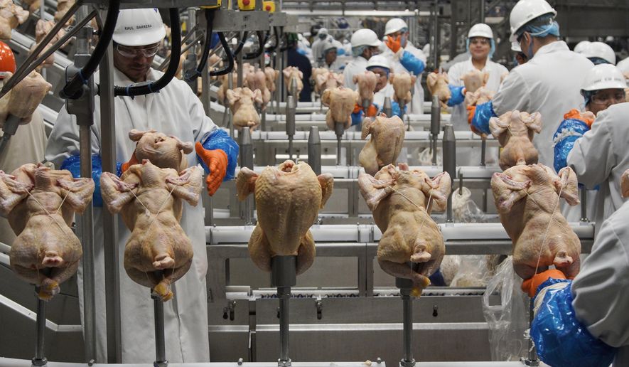 Workers process chickens at a poultry plant in Fremont, Neb., Dec. 12, 2019. The federal government on Monday, Aug. 1, 2022, announced proposed new regulations that would force food processors to reduce the amount of salmonella bacteria found in some raw chicken products or risk being shut down. (AP Photo/Nati Harnik, File)