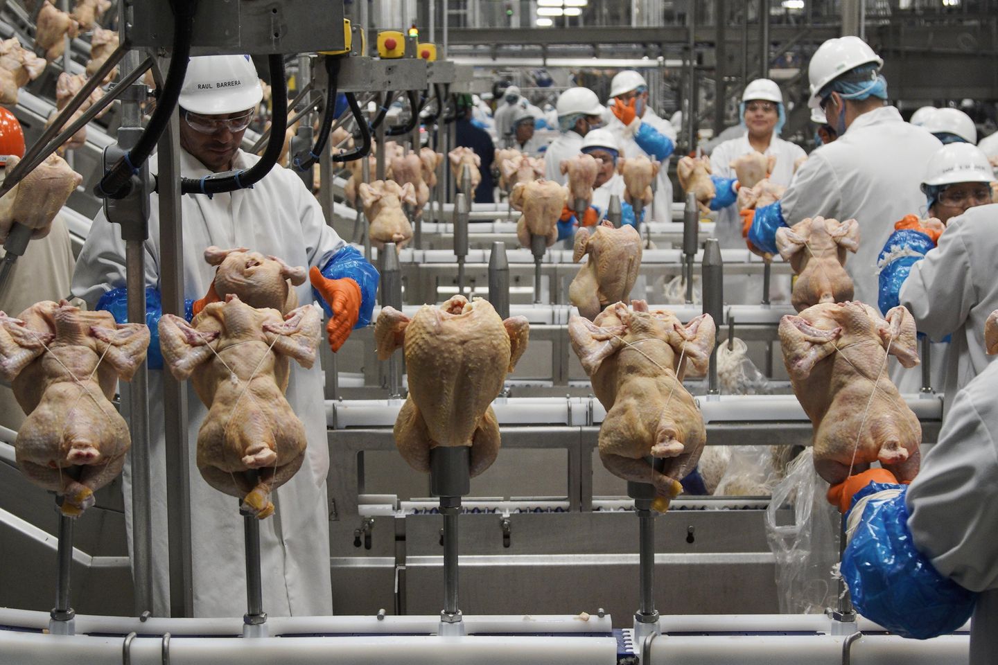 El USDA se vuelve más duro con la salmonella en los productos de pollo