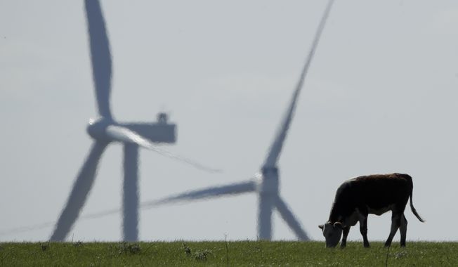 A cow grazes in a pasture as wind turbines rise in the distance, April 27, 2020, near Reading, Kan. (AP Photo/Charlie Riedel, File)
