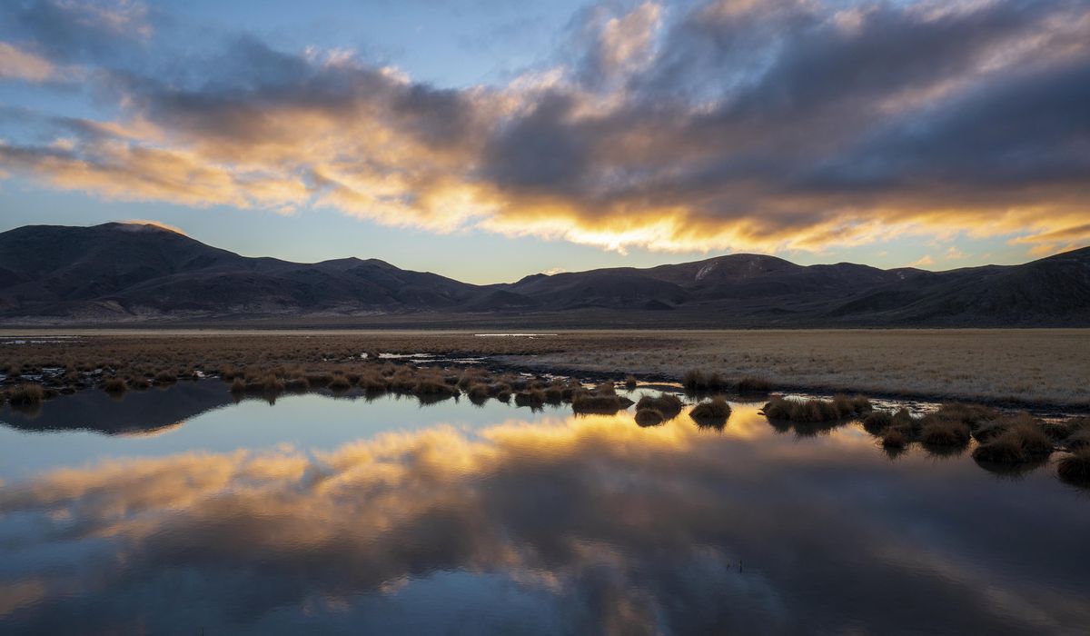 NextImg:House GOP tells federal agency to cancel ecogrief training