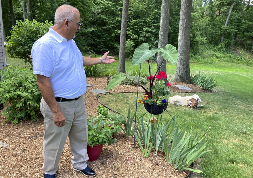 Marty Marino of Michigan&#39;s Cascade Township looks over his yard following an essential oil insecticide spray treatment by a Mosquito Joe crew on July 20, 2022. “If you like to be outside, it certainly makes it more pleasant not to be swatting mosquitos and worrying about all the issues,” Marino said.  (AP Photo/John Flesher)