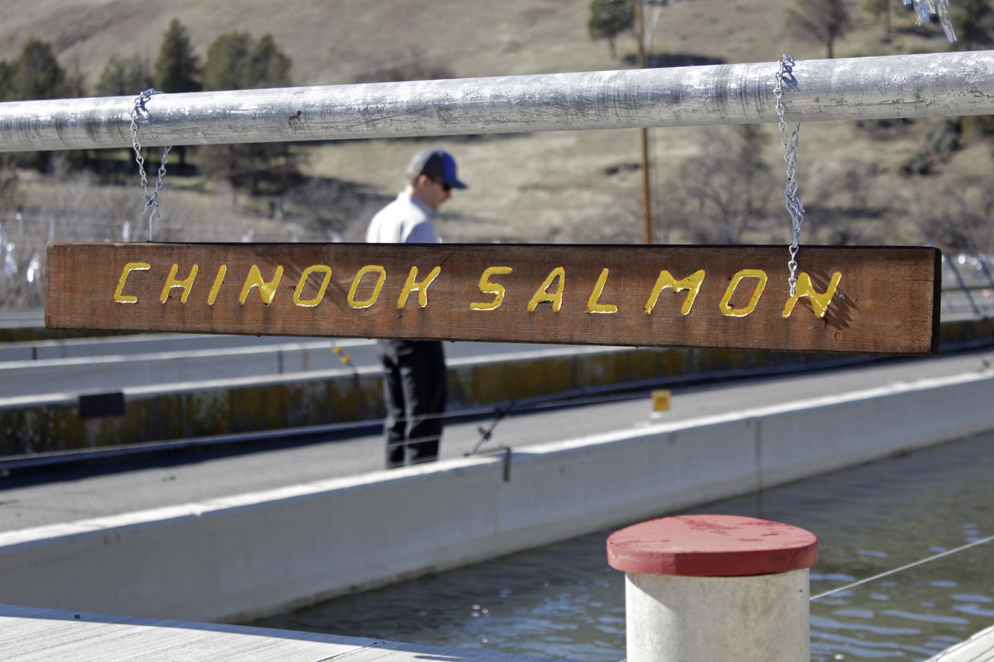 Plan to demolish Klamath dams in California to save salmon gets boost from federal regulators