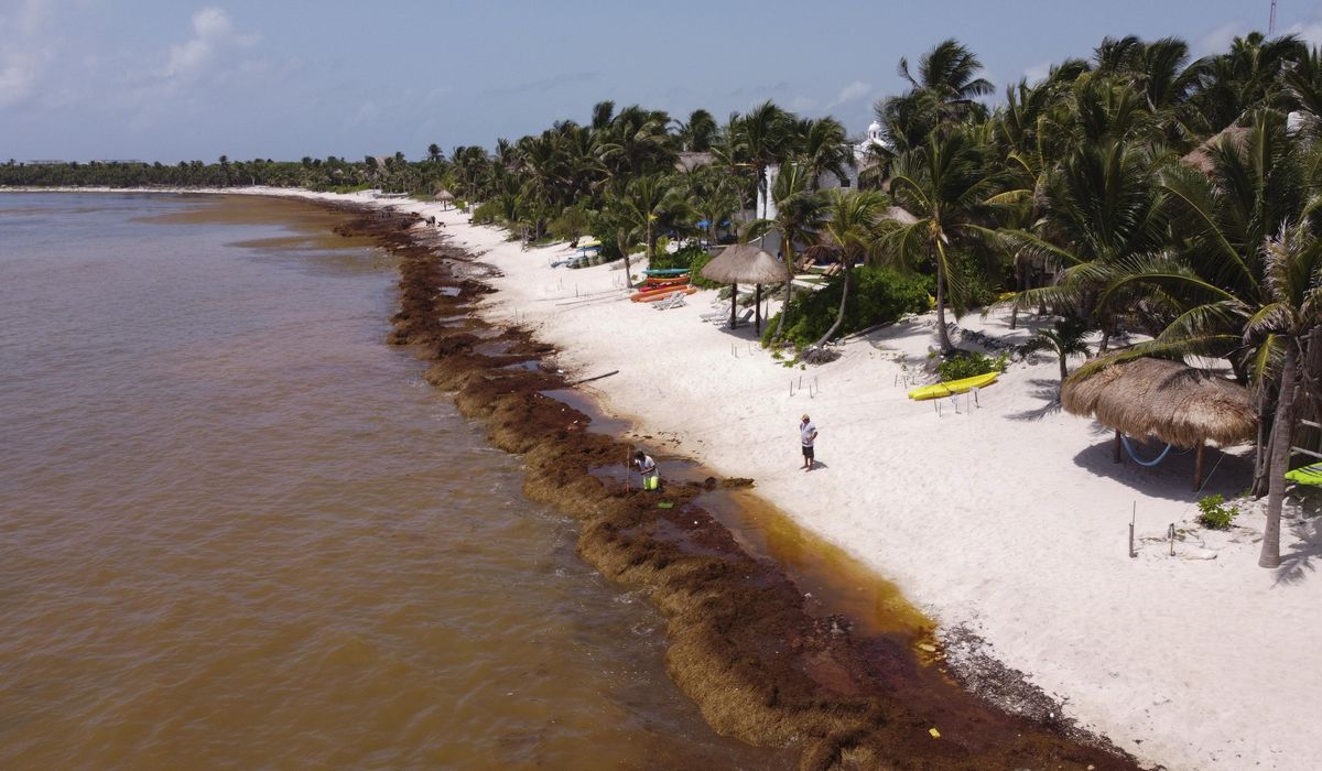 NextImg:Four dead near Cancun resort; 2 suspects arrested