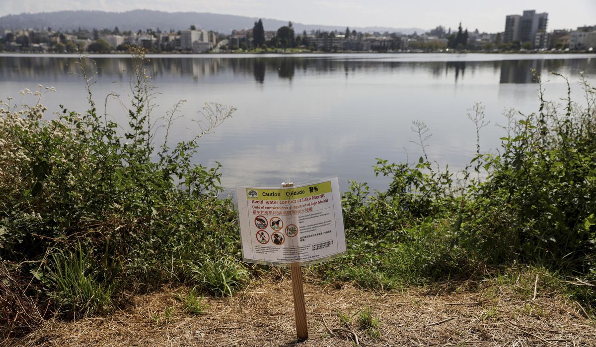 NextImg:Police ID body found in suitcase floating in Oakland’s Lake Merritt