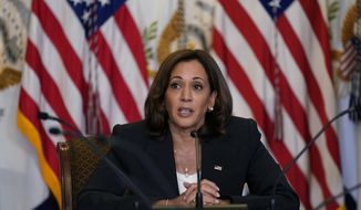 Vice President Kamala Harris speaks during a meeting with civil rights and reproductive rights leaders in the Diplomatic Reception Room on the White House complex in Washington, Monday, Sept. 12, 2022. (AP Photo/Susan Walsh)