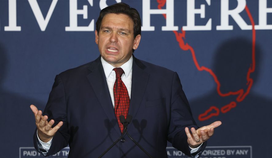 In this file photo, Florida Gov. Ron DeSantis speaks to a crowd of supporters during the Keep Florida Free Tour on Wednesday, Aug. 24, 2022, in Tampa, Florida.   (Luis Santana/Tampa Bay Times via AP, File)  **FILE**