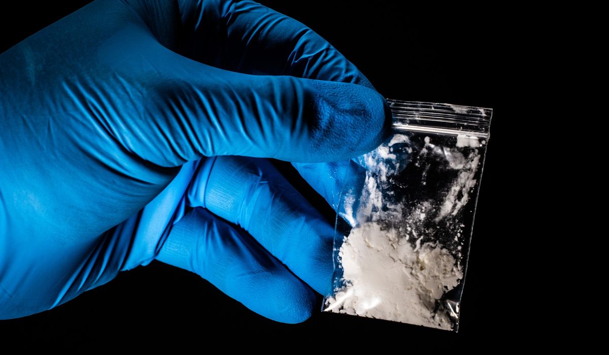 Body count keeps growing in Americas fentanyl crisis as Washington grasps at solutions