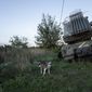 A dog walks in front of destroyed Russian MSLR BM-21 Grad with sign &amp;quot;Z&amp;quot; in the recently retaken area of Kamyanka, Ukraine, Monday, Sept. 19, 2022. Residents of Izium, a city recaptured in a recent Ukrainian counteroffensive that swept through the Kharkiv region, are emerging from the confusion and trauma of six months of Russian occupation, the brutality of which gained worldwide attention last week after the discovery of one of the world&#39;s largest mass grave sites.(AP Photo/Evgeniy Maloletka)