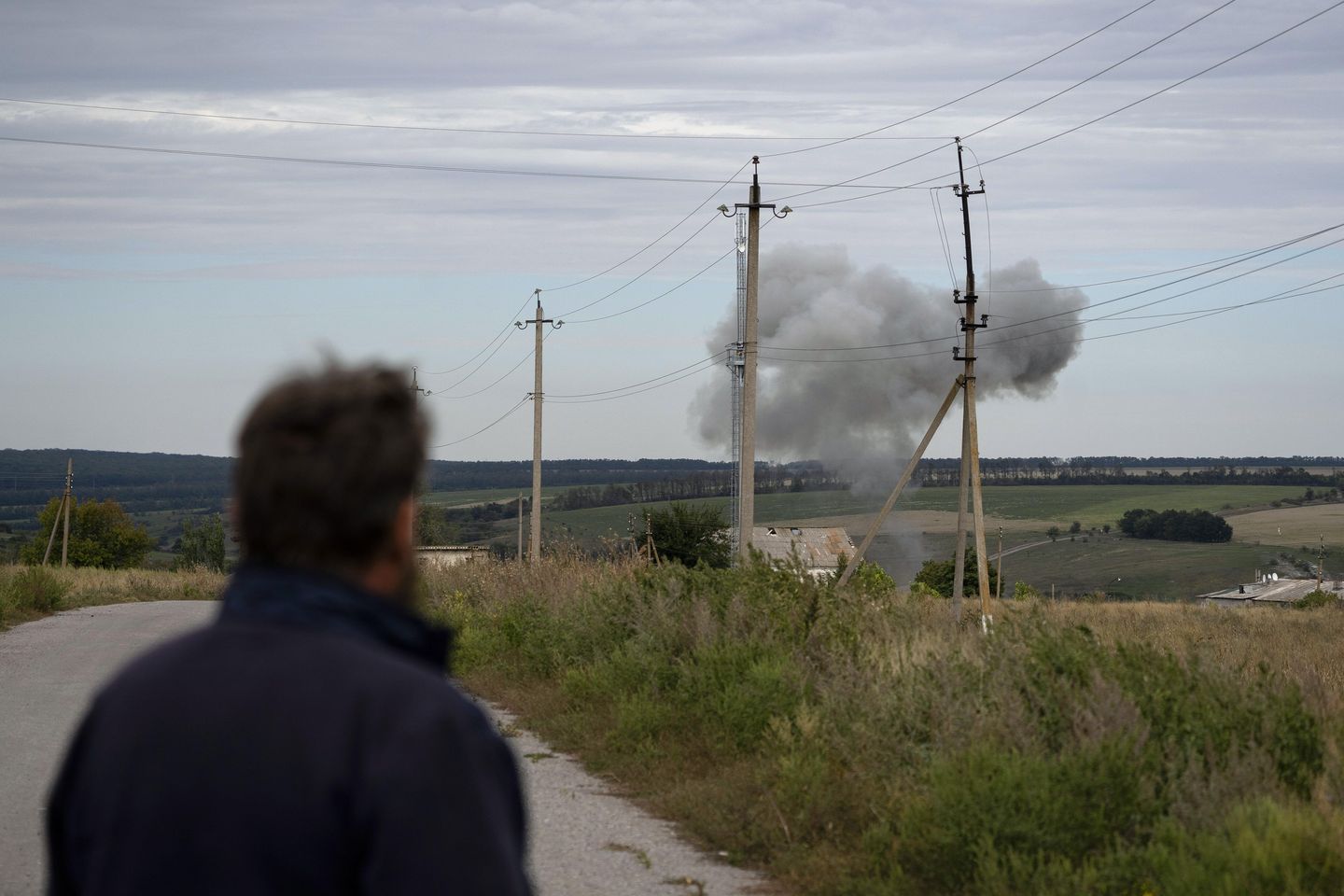 Ön hat çiftçiliği: Bombalar kritik Ukrayna endüstrisini bozuyor