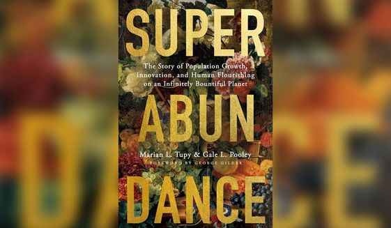 Superabundance: The Story of Population Growth, Innovation, and Human Flourishing on an Infinitely Bountiful Planet (book cover)