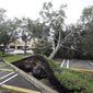 An uprooted tree, toppled by strong winds from the outer bands of Hurricane Ian, rests in a parking lot of a shopping center, Wednesday, Sept. 28, 2022, in Cooper City, Fla. (AP Photo/Wilfredo Lee)